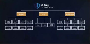 500萬美元A輪融資背后的商業藍圖 TAC溯源鏈與信息系統集成服務的深度融合